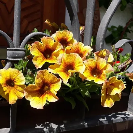 Haus Ruetzbach Lägenhet Neustift im Stubaital