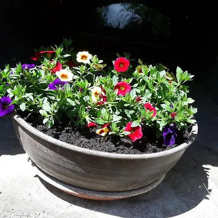 아파트 Haus Ruetzbach