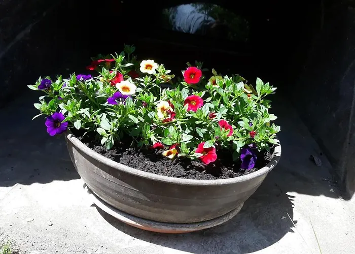 Apartamento Haus Ruetzbach