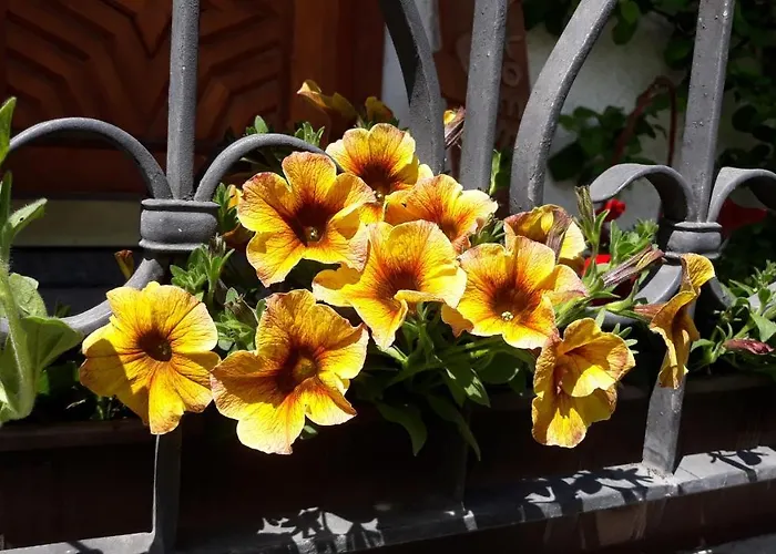 Haus Ruetzbach Apartamento Neustift im Stubaital